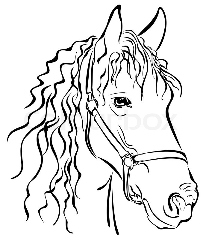 688x800 Closeup Sketch Of Horse Head Black Stock Vector Colourbox