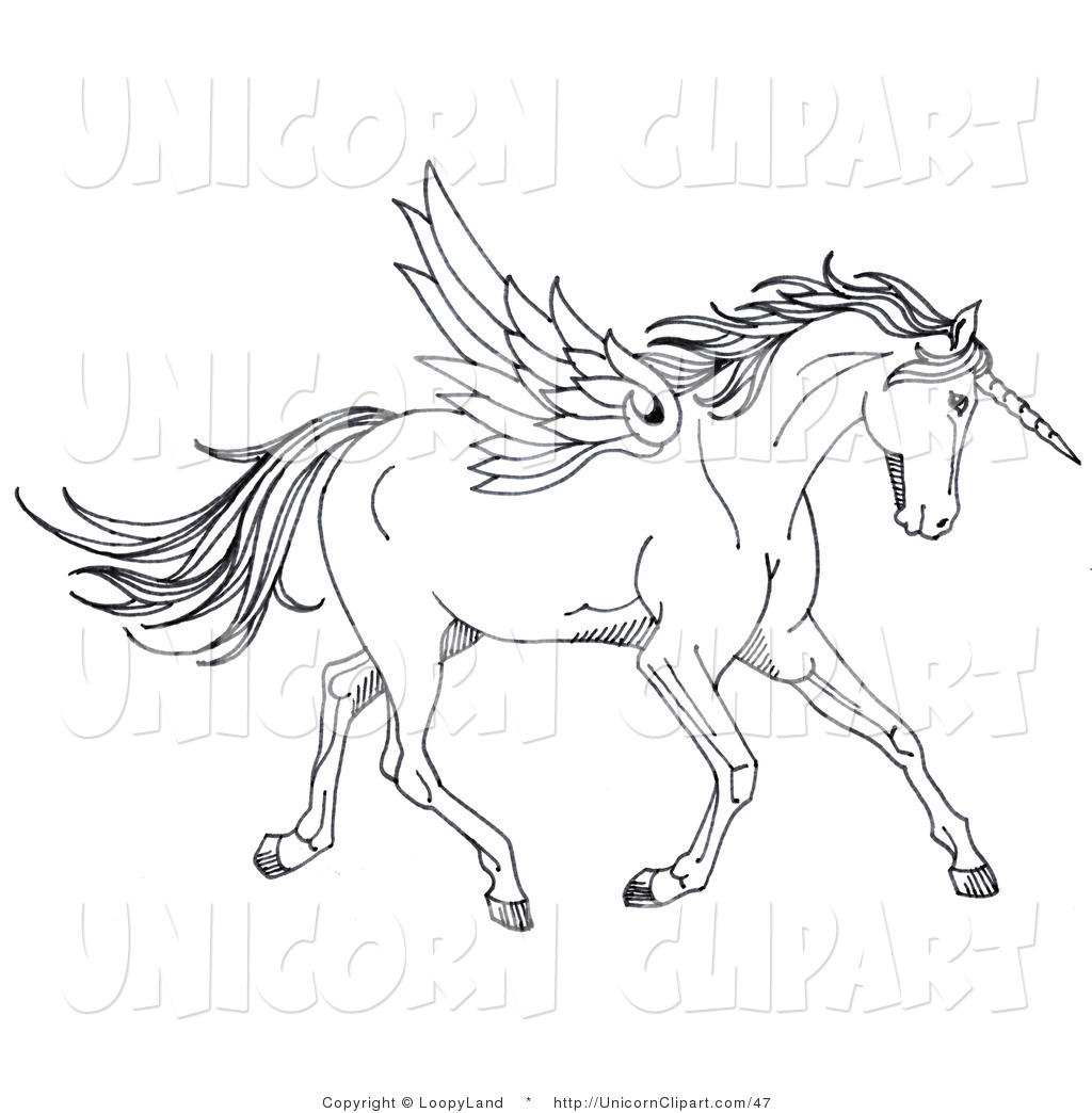 1024x1044 Fantasy Clip Art Of A Black And White Winged Unicorn Horse By