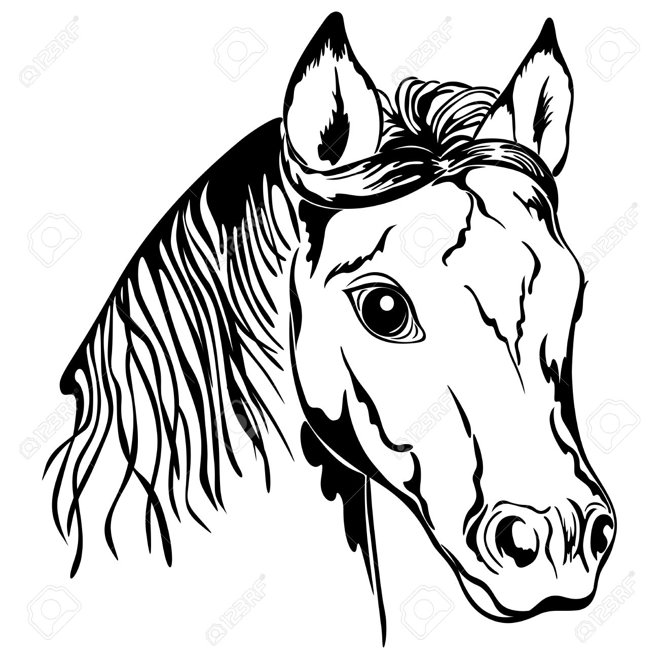 1300x1300 Outline Of Horse Head. Black And White Royalty Free Cliparts