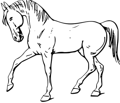 400x342 Pictures Black And White Horse Drawings,