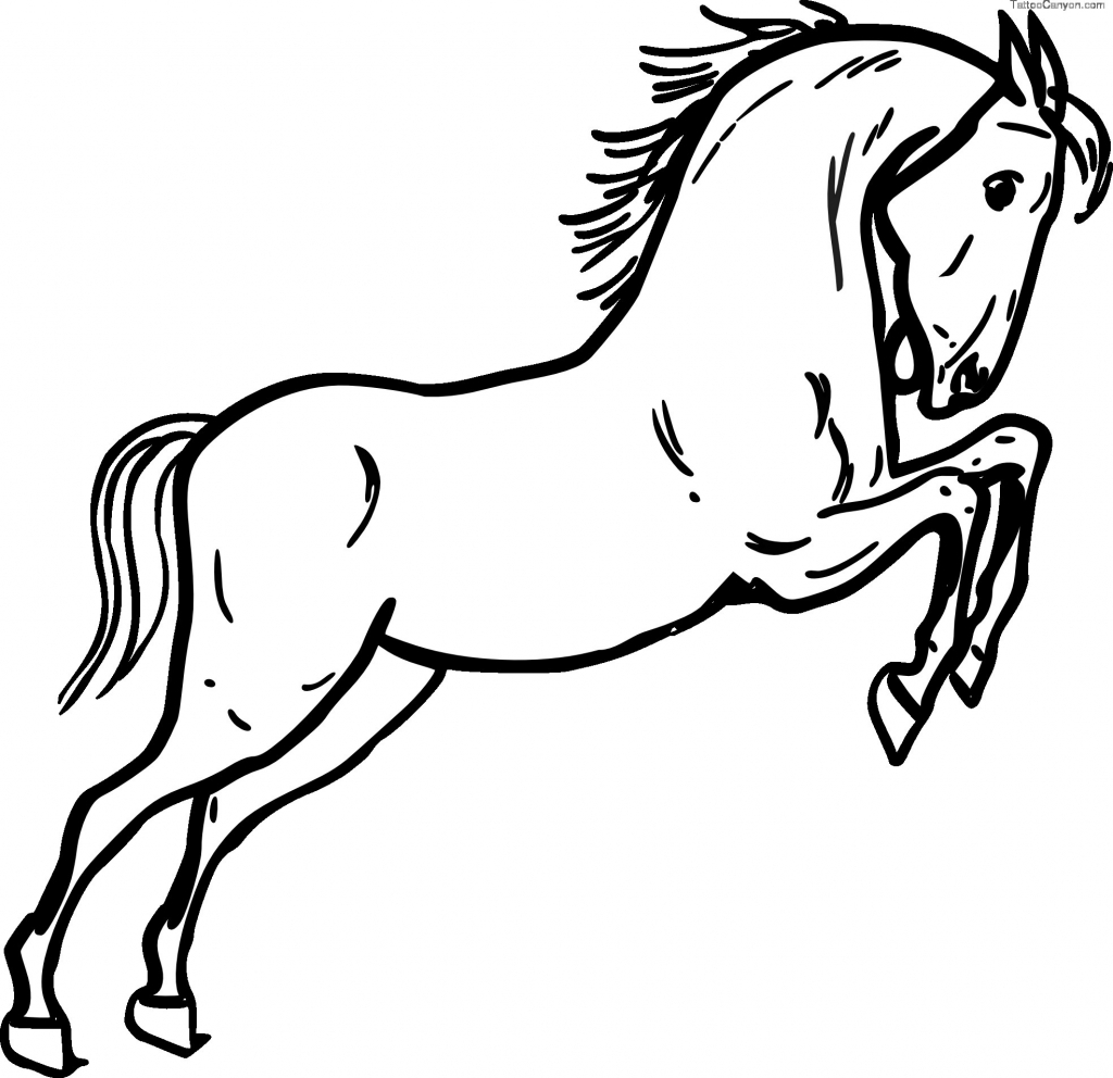 1024x992 Black And White Sketches Of Horses Info Jumping Horse Outline