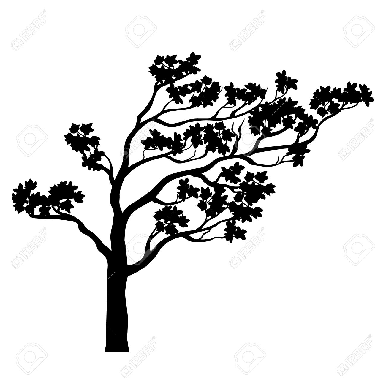 1300x1300 Tree Sakura Silhouette. Blacknd White Isolated Outline.