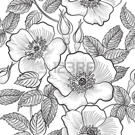 450x450 Flower Sketch Stock Photos. Royalty Free Business Images