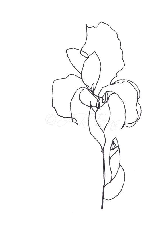 570x813 The Best Flower Drawings Ideas On Flower Sketches