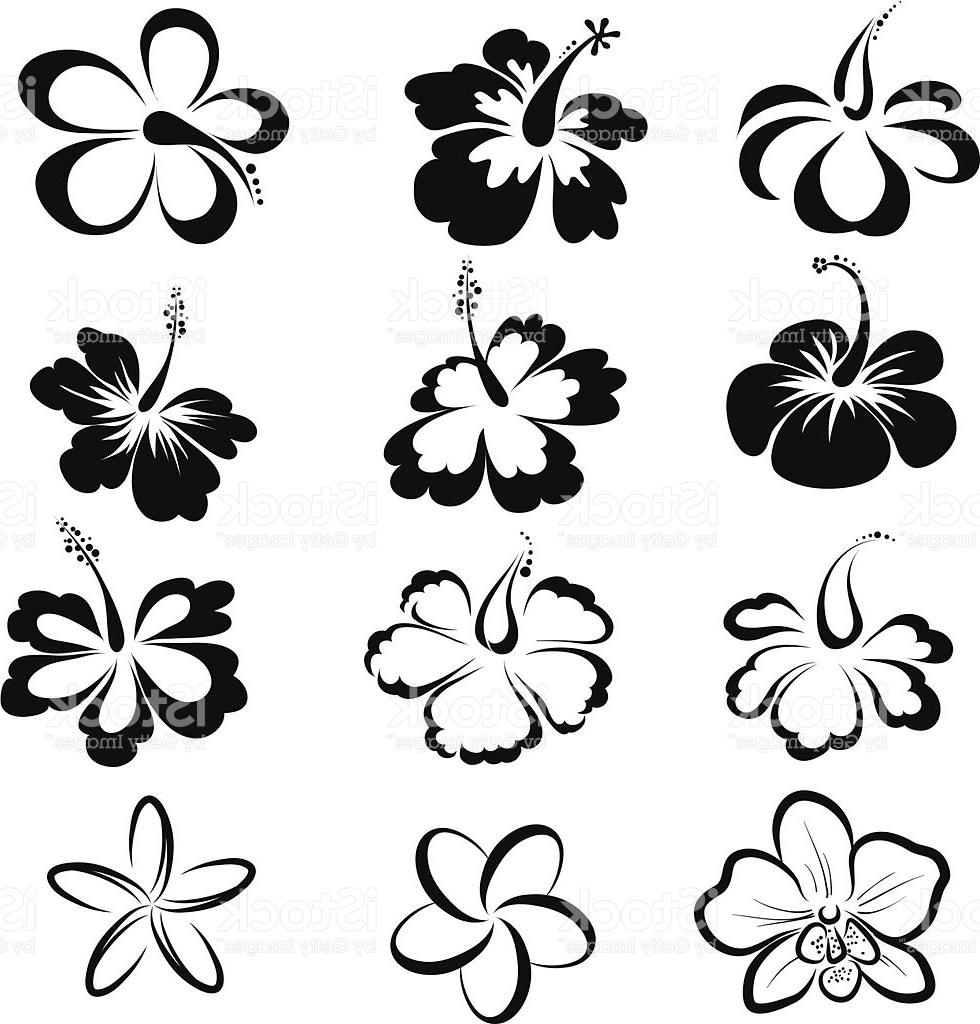 980x1024 Top 10 Black And White Drawings Of Tropical Flowers Vector Cdr