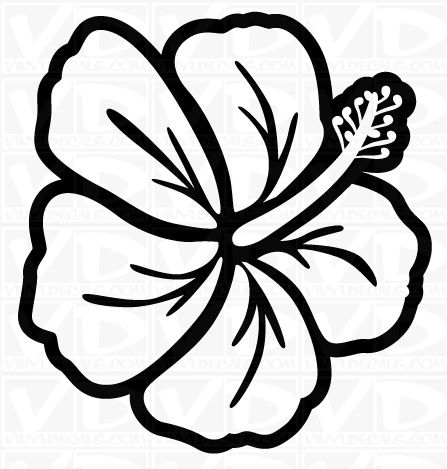 447x469 Flower Drawing Clipart