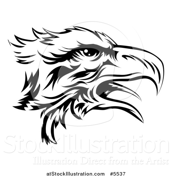 600x620 Vector Illustration Of A Black And White Eagle Head In Profile By