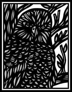 235x300 White Eagle Drawings