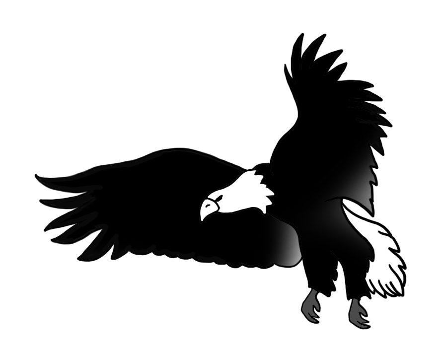 886x709 Bald Eagle Drawings