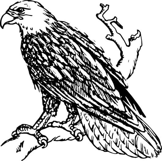 530x528 Black And White Eagle Clipart