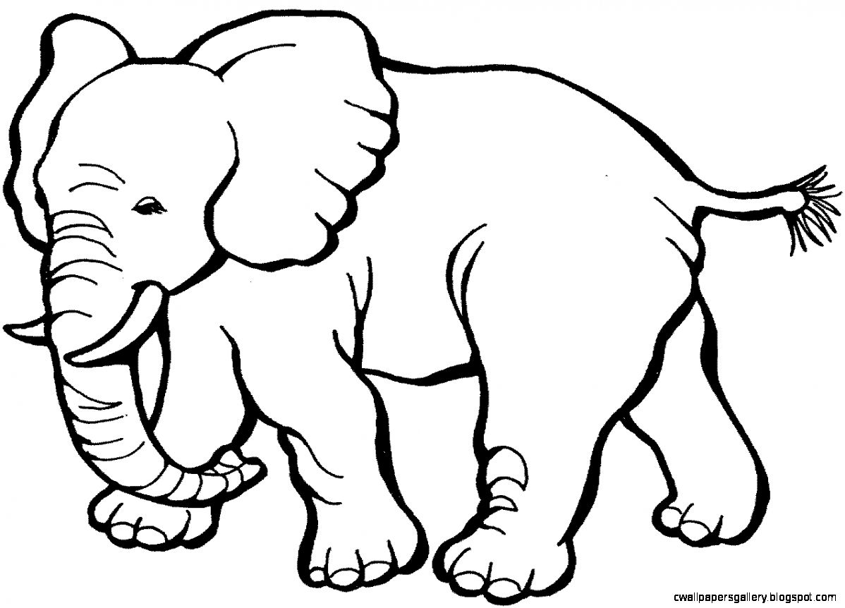 1198x862 Elephant Black And White Drawing Wallpapers Gallery