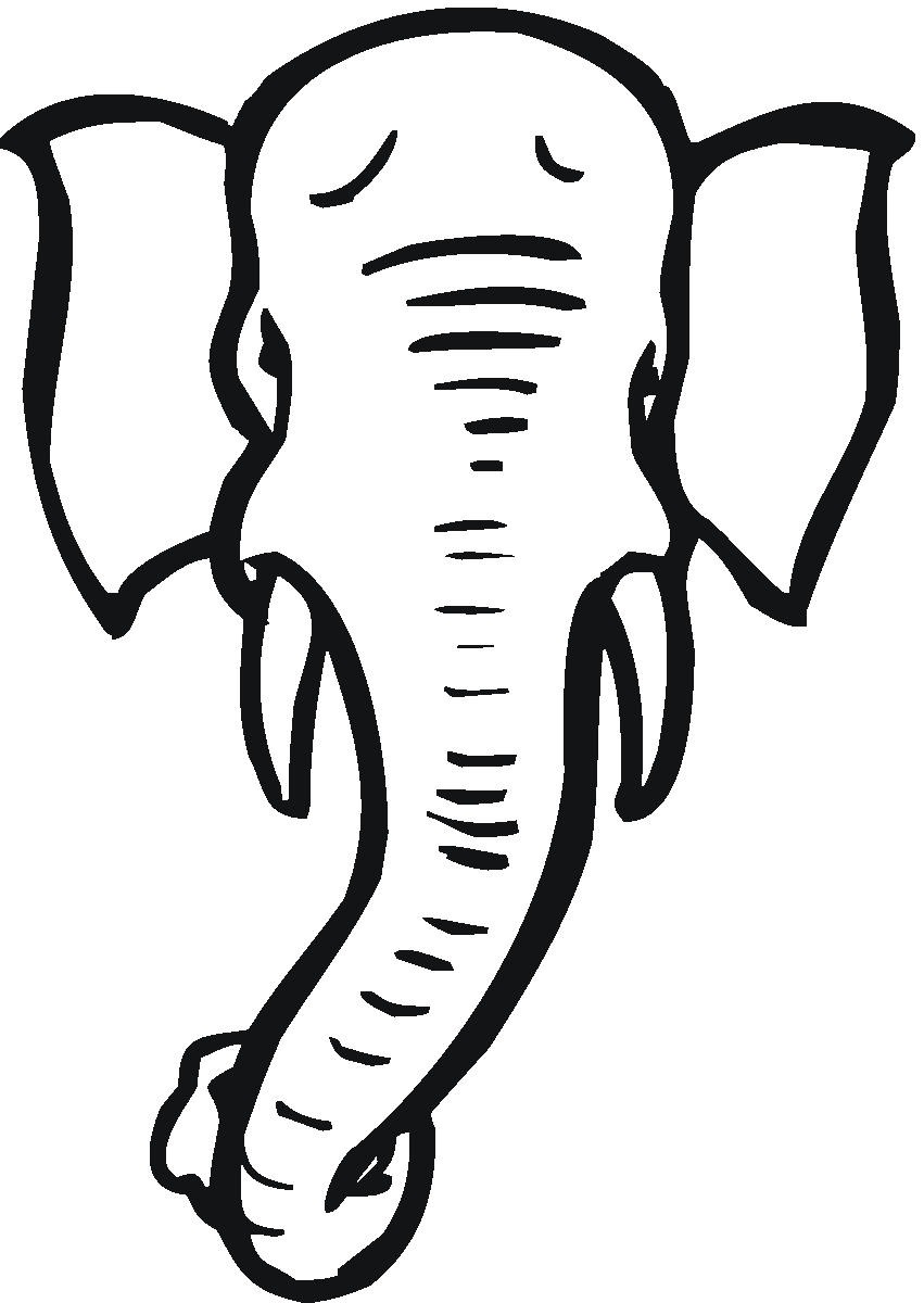 851x1200 Elephant Head Designs