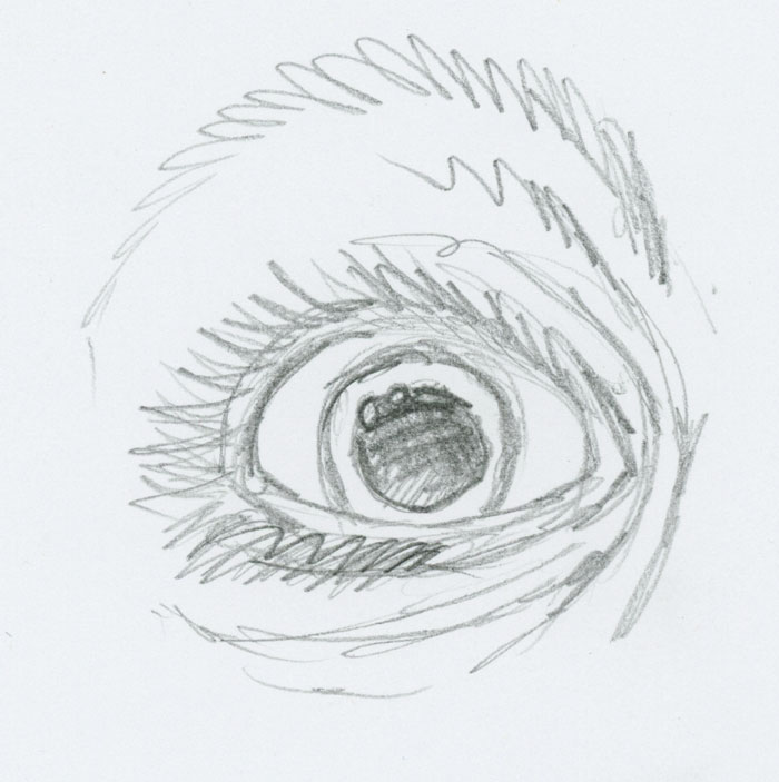 700x703 Illustration