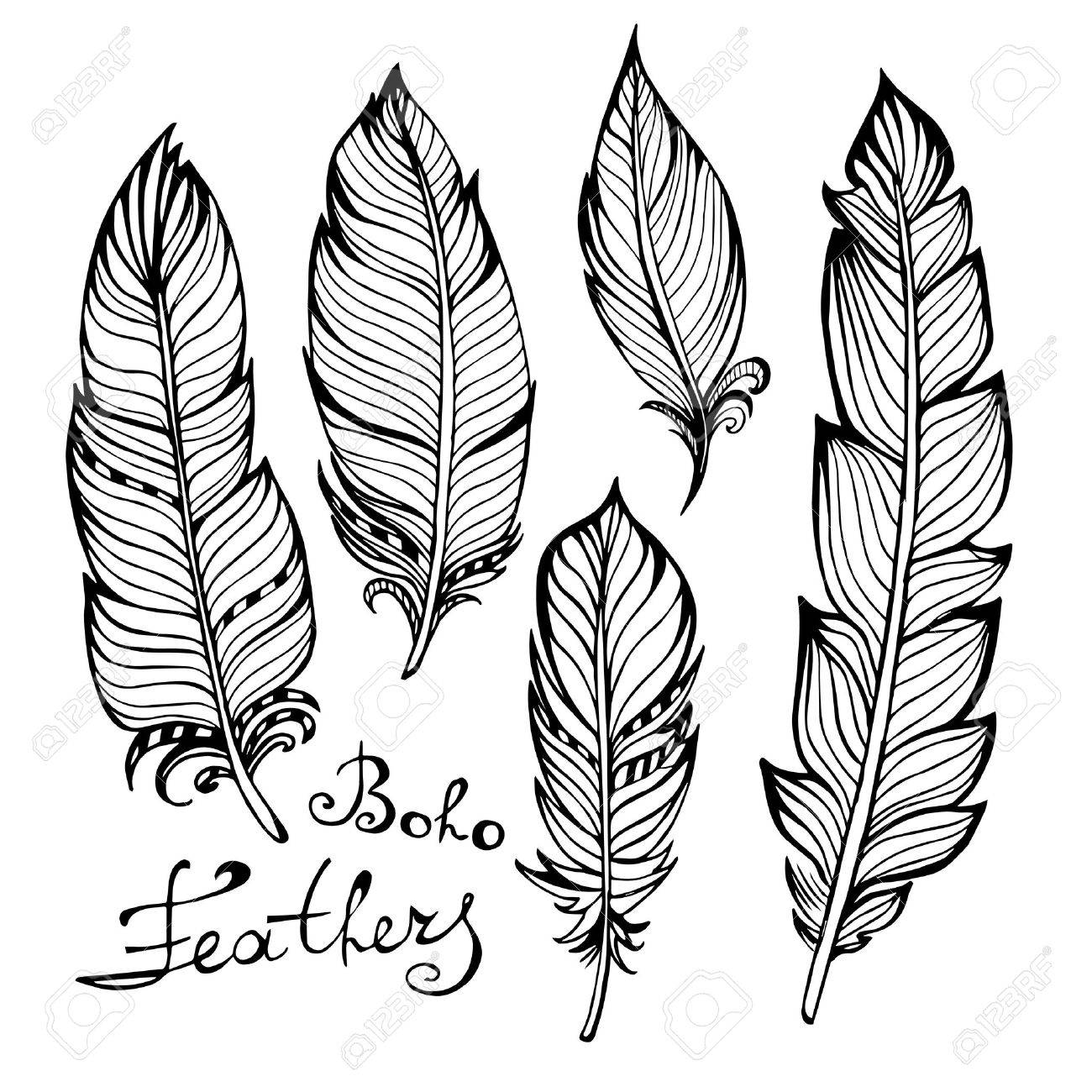 1300x1300 Hand Drawn Bird Black Feathers Closeup Isolated On White
