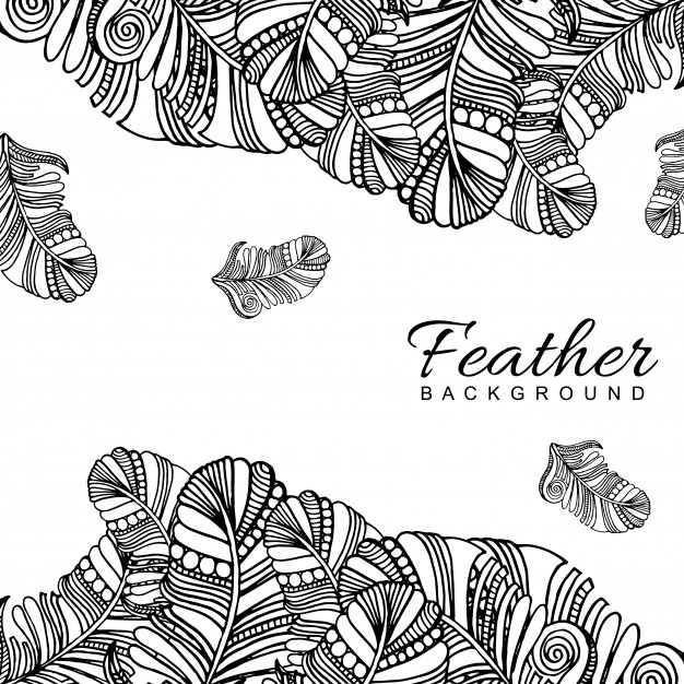 626x626 Hand Drawn Black Amp White Feather Background Vector Free Download