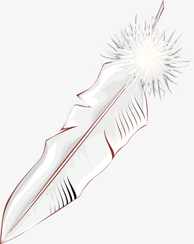 638x800 White Feather, White, Feather, Birds Png Image For Free Download