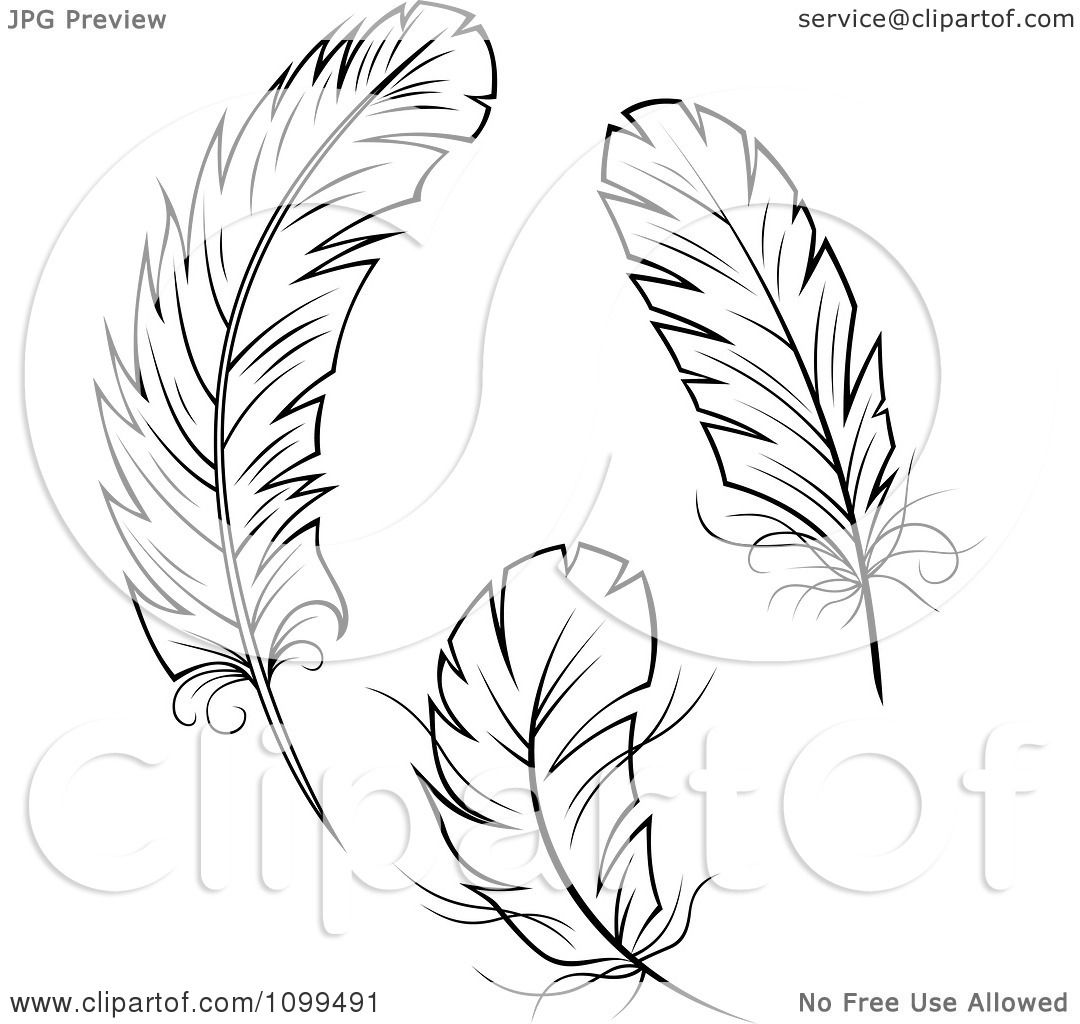 1080x1024 Clipart Three Black And White Feathers