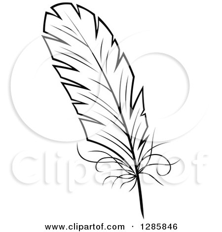 450x470 Clipart Of A Black And White Feather 1