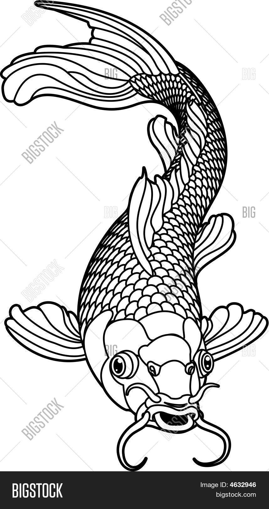 858x1620 Koi Carp Black White Fish Vector Amp Photo Bigstock