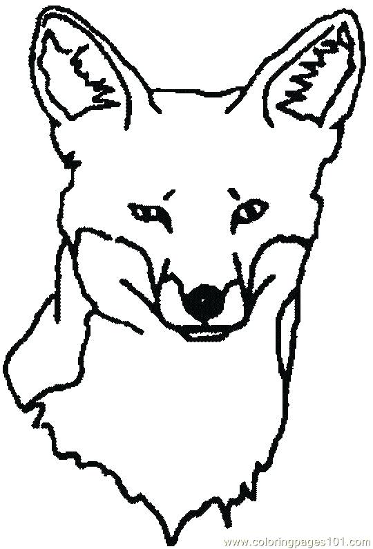 540x794 Red Fox Coloring Pages Coloring Pages About Arctic Foxes Arctic