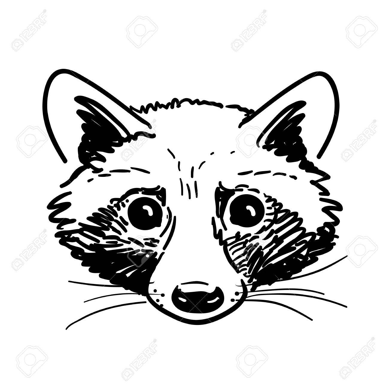 1300x1300 Vector Hand Drawn Pen And Ink Black And White Cute Raccoon Face