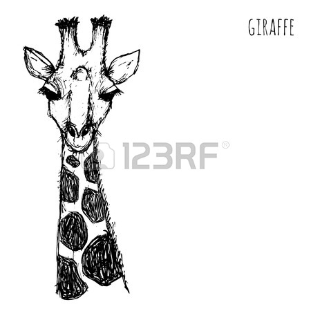 450x450 Wild Animal Safari. Black White Giraffe Face Drawn Pen