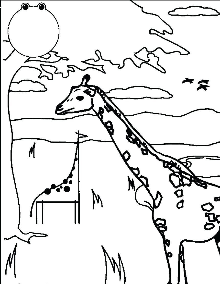 900x1159 Printable Printable Black And White Giraffe