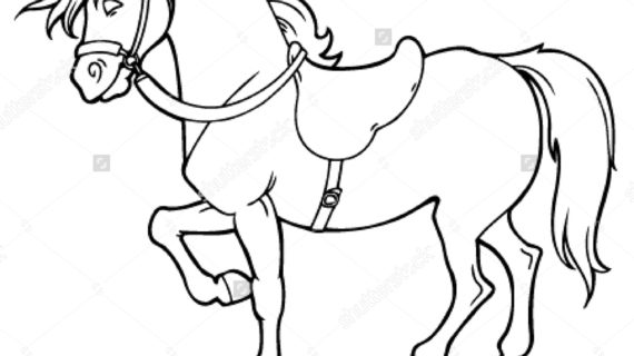 570x320 Outline Drawing Of A Horse Outline Drawing Horse Saddle Stock
