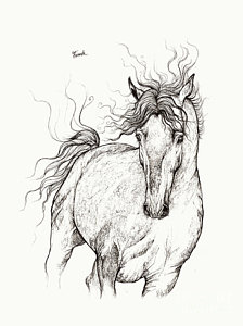224x300 Running Horses Drawings Fine Art America