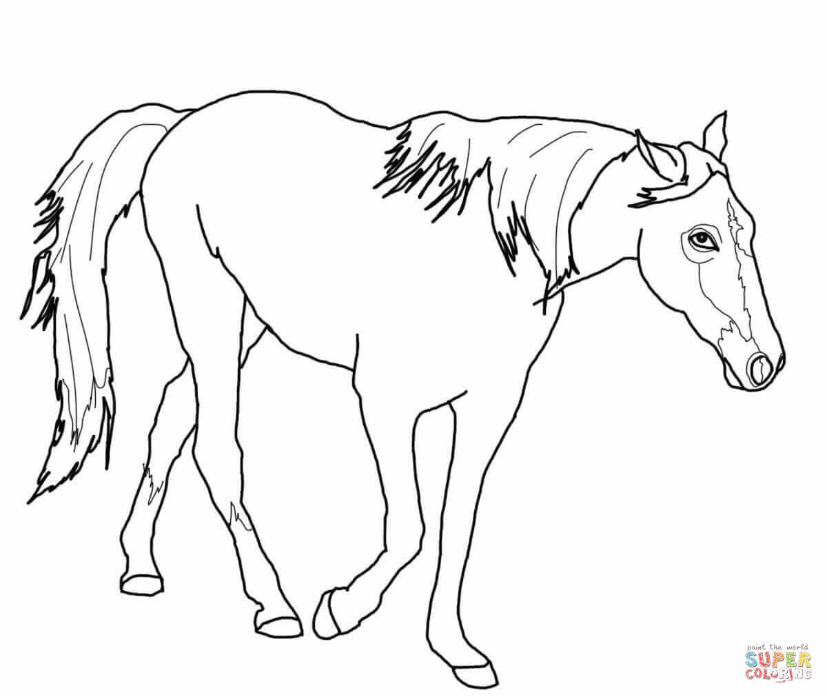 1200x1011 Tennessee Walking Horse Coloring Page Free Printable Coloring Pages