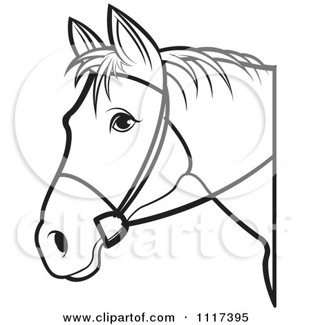 450x470 Horses Head Clipart Black And White