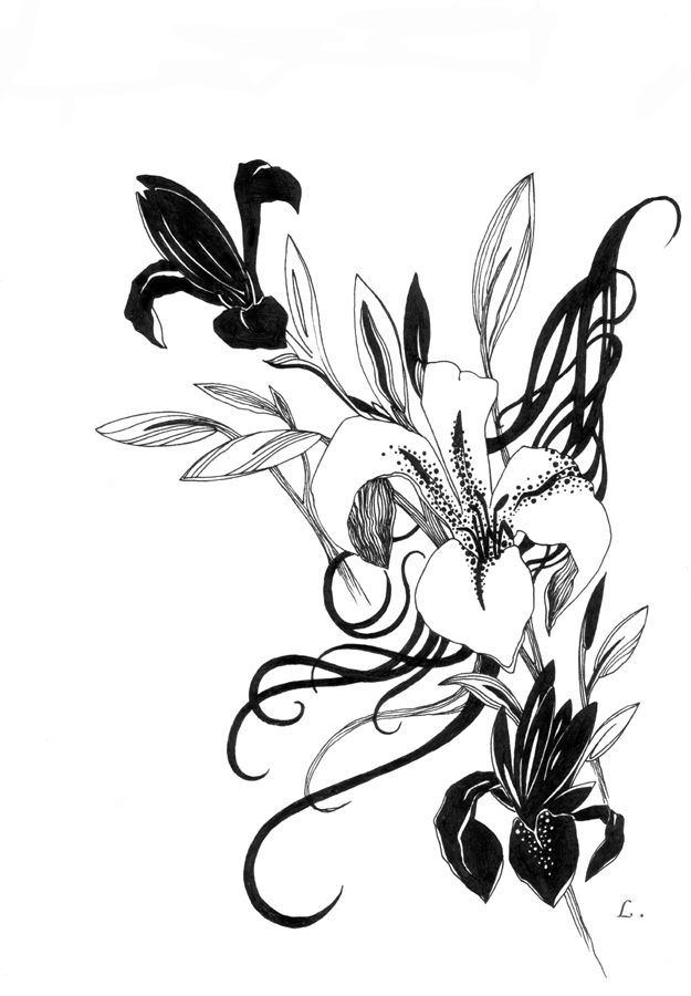 625x900 Black And White Lilies By Lisalins