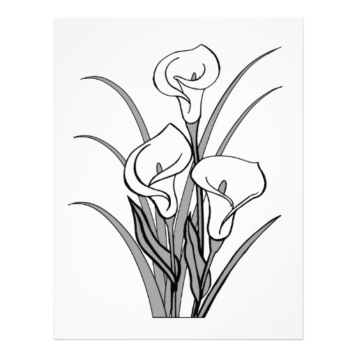 512x512 Image Of Calla Lily Clipart