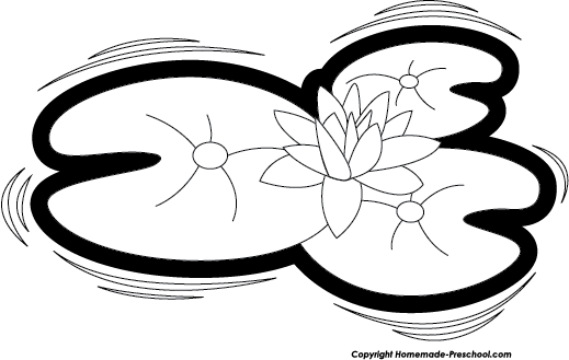 519x329 Lily Pad Clipart Black And White