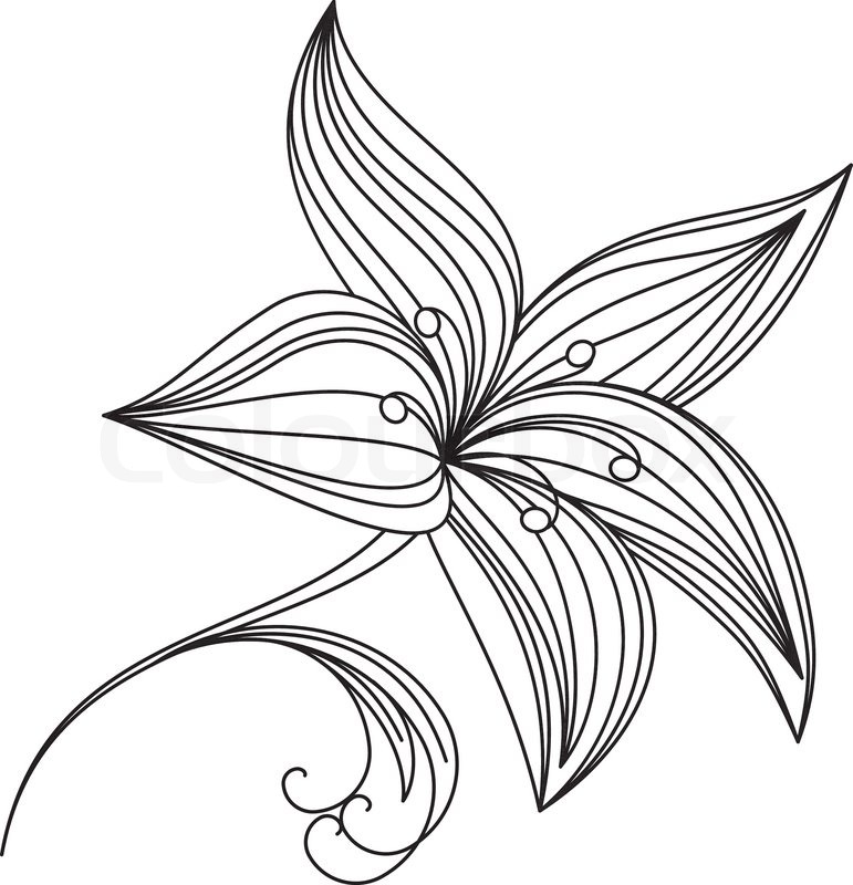 771x800 Abstract Beautiful Flower Of Lily Stock Vector Colourbox