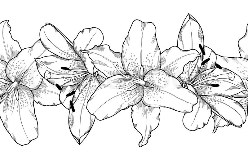 800x500 Beautiful Monochrome, Black And White Seamless Horizontal Frame