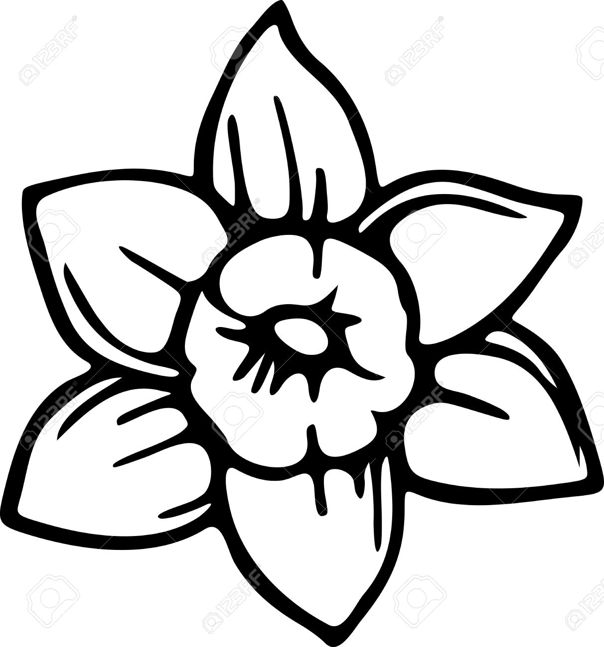 1212x1300 Simple Black And White Line Drawing Of A Daffodil Flower. Stock