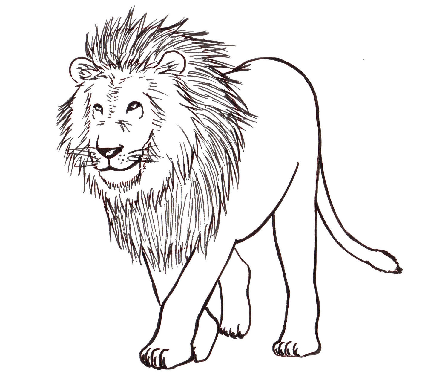 Black And White Lion Drawing at GetDrawings | Free download