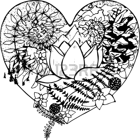 448x450 Black And White Drawing Of The Heart, In Which The Lotus, Fern