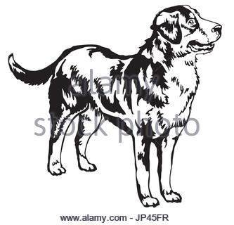 333x320 Black Outline Drawing Of Dog Isolated On A White Background Stock
