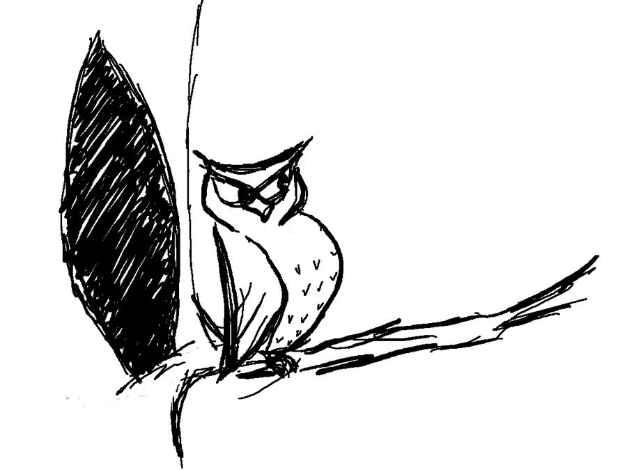 900x675 Black And White Owl By Pisoiroz