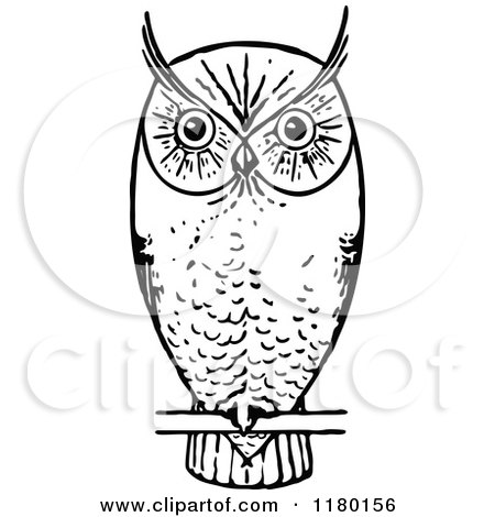 450x470 Clipart Of A Retro Vintage Black And White Owl Perched