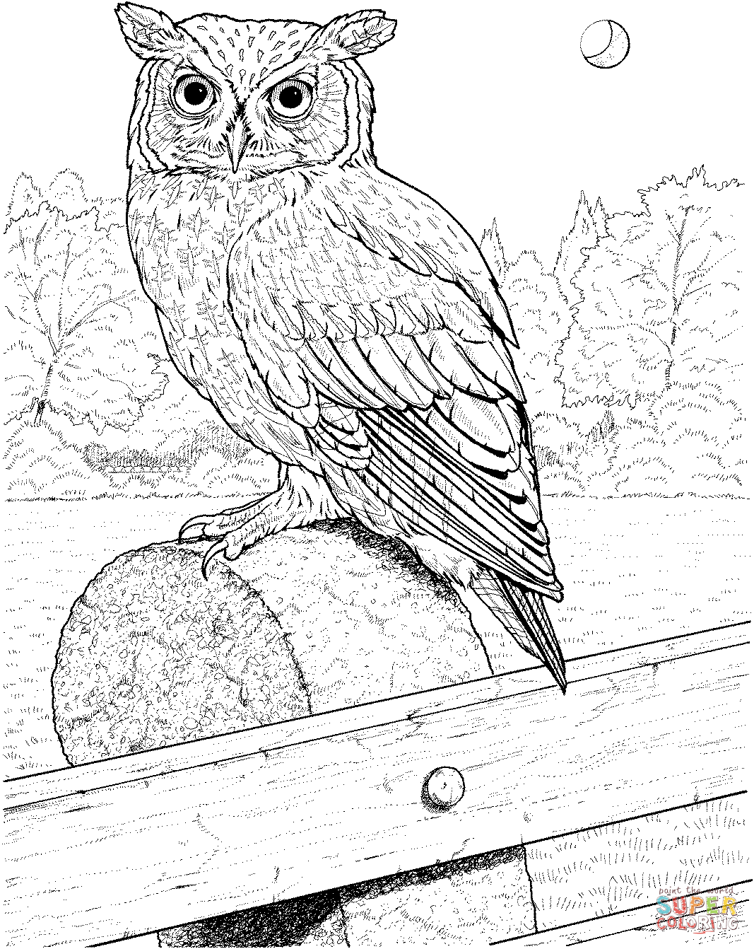 1067x1342 Great Horned Owl Coloring Page Free Printable Coloring Pages
