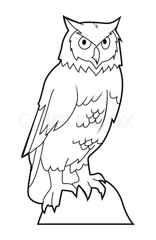 521x800 Owl Stock Vector Colourbox