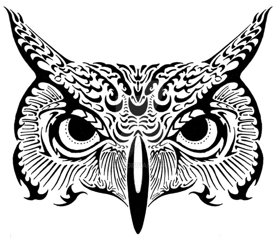 900x769 Owl Drawings Black And White