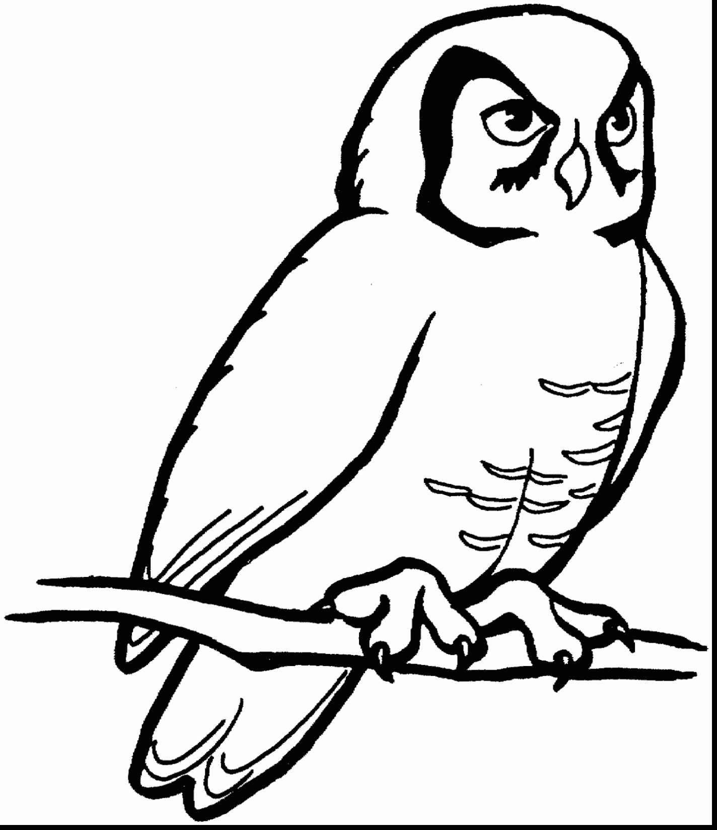 1424x1650 Astounding Black And White Owl Coloring Pages With Owl Coloring