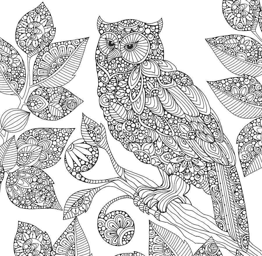 900x881 Black And White Owl Drawing By Valentina Harper