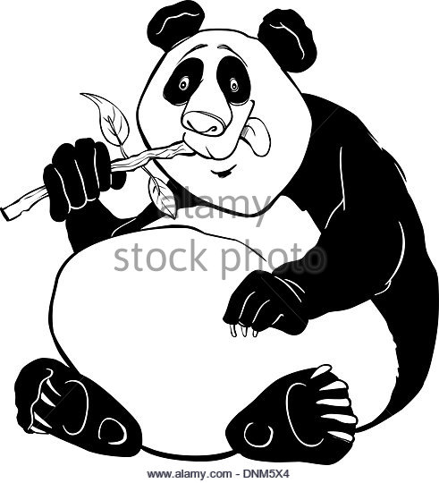 491x540 Giant Panda Black And White Stock Photos Amp Images