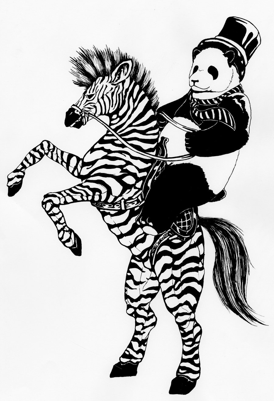 900x1318 Zebra And Panda. (Black And White) By 0galath0