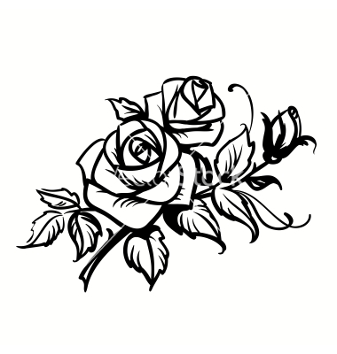 380x400 Roses Black Outline Drawing On White Background Vector Art